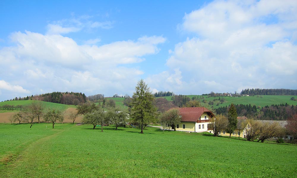 wiesenwienerwald